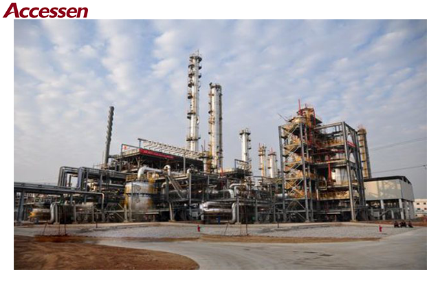 Shandong Zhongsheng Chemical 